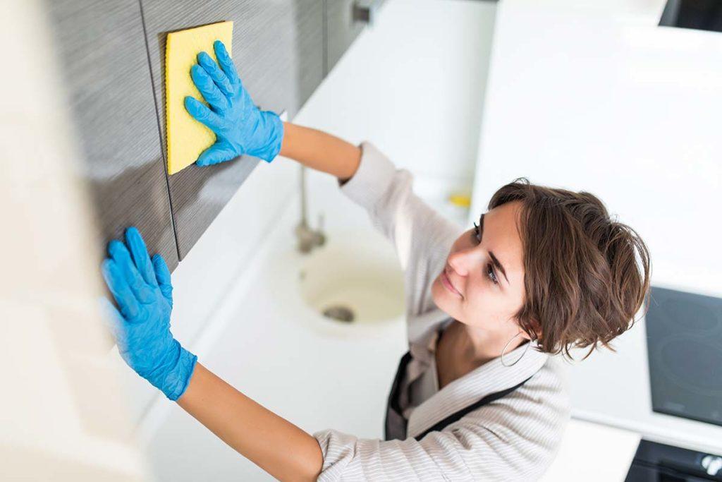 homefront cleaner benchtop