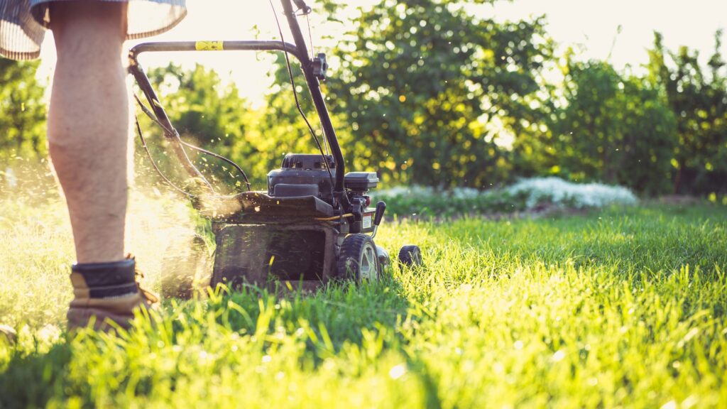 Man mowing lawn.